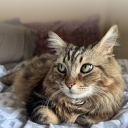 hailey098767-blog avatar