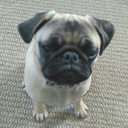 haileygeee-blog1 avatar