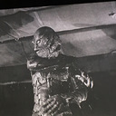 haillupine-aesthetics avatar