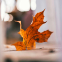 hairpinraindrop avatar