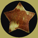 hairstarfish avatar