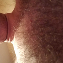 hairy-bear-71 avatar