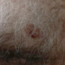 hairymalelover avatar