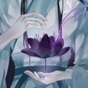 haitangblossoms avatar