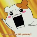 hakanhellstorm avatar