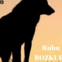 hakannnnilll-blog avatar