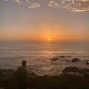 hakunaa-matataa02 avatar