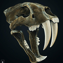 halcyonheresy avatar