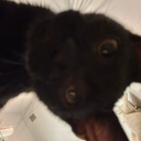 haleyreadsfics avatar