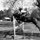 haleyyelahhhorses avatar