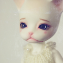 halfchildhalfkittenn-blog-blog avatar