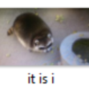 halfelfproblems avatar