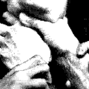 halfheartedhazard avatar