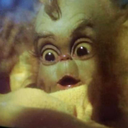 halfheartwholesoul avatar