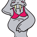 halfnakedwalrus avatar