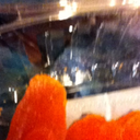 halfofanelephant avatar