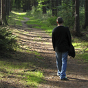 halfway-home-in-nature avatar