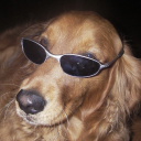 halicablissoutv11 avatar