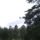 halimizdumanamannn avatar