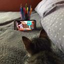 haliyleyoruldukk avatar