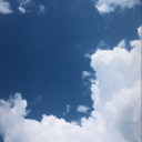 hallegoesadventuring avatar