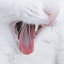 hallo-it-s-we avatar