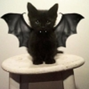 hallospacecat avatar