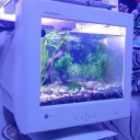 halloween4life avatar