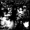 hallucinajennyrottenriguez avatar