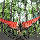 hallucinating-digitally avatar