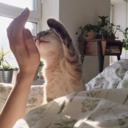 hallucinatingg avatar