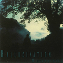 hallucination-blog avatar