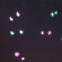 hallucinations-offical avatar