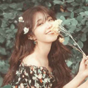 hallyuscenarios avatar