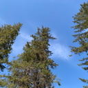 halsworldsworld avatar