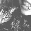 halte-die-welt-an avatar