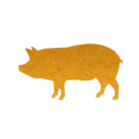 hamanimal avatar