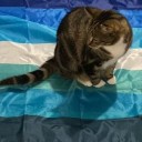 hamburgeoisie avatar