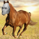 hamilton-but-a-horse-now avatar