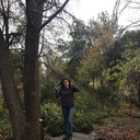 hamletliomlet avatar