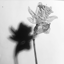 hamletshouseofhorror avatar