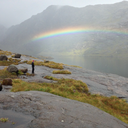 hammerforscale avatar