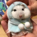 hamsterofderp avatar