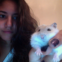 hamsterweave-blog avatar