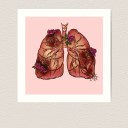 hanahaki-disease-offical avatar