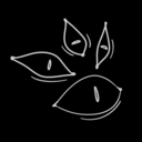 hanakois-realm avatar