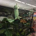 handful-of-ranch avatar