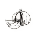 handgezeichnetesdeutsch avatar