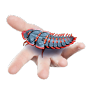 hands-you-an-arthropod avatar