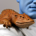 handsofthrawn avatar